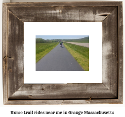 horse trail rides near me in Orange, Massachusetts